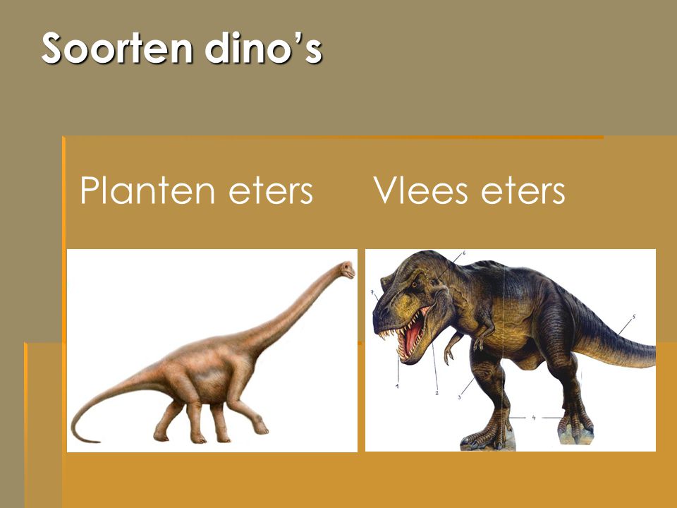 Dinosaurussen Deze voorstelling over de dinosaurussen. Dino's zijn dieren die heel lang op de aarde Door deze voorstelling leren jullie. - ppt video online download