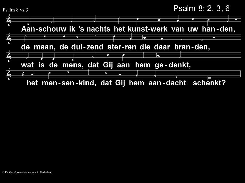 Psalm 8: 2, 3, 6