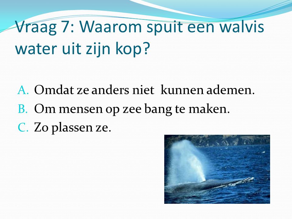 Vraag 7: Waarom spuit een walvis water uit zijn kop