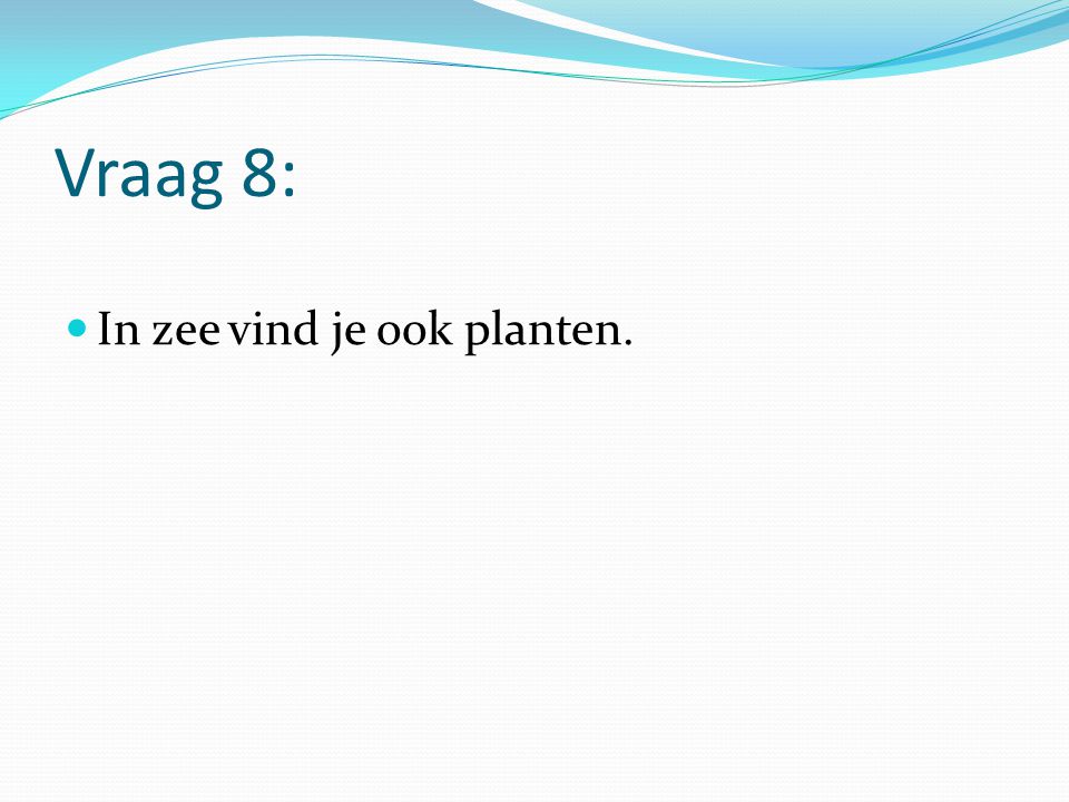 Vraag 8: In zee vind je ook planten.
