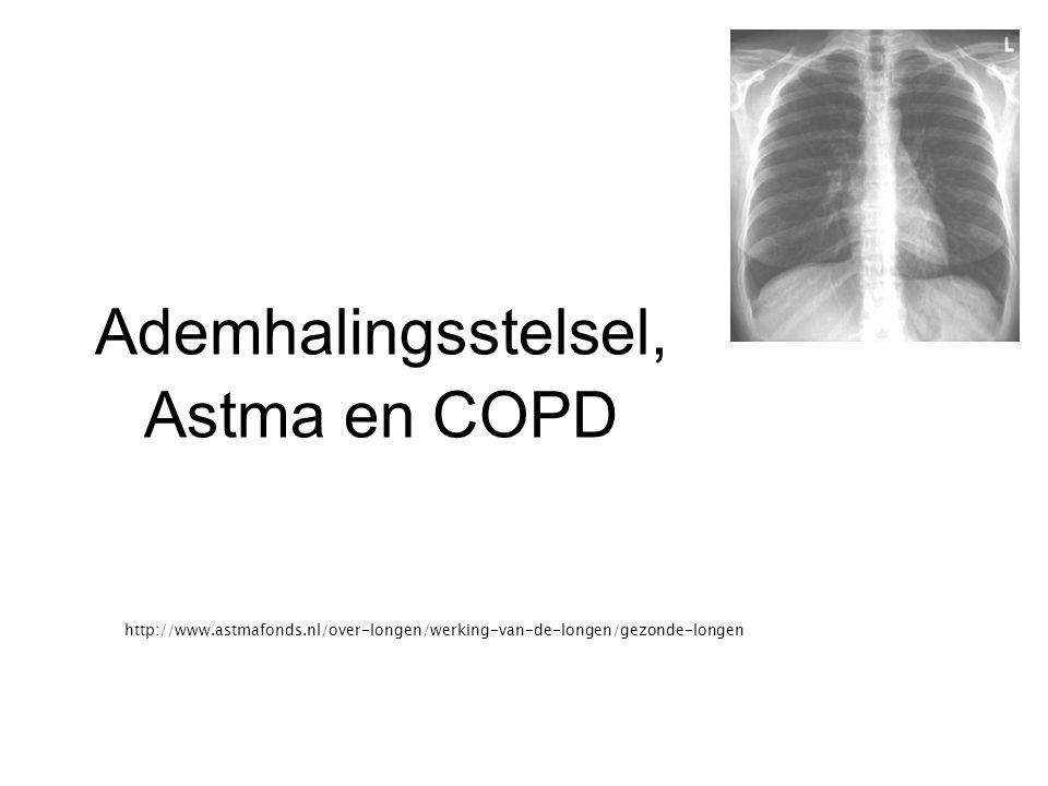 Ademhalingsstelsel, Astma en COPD