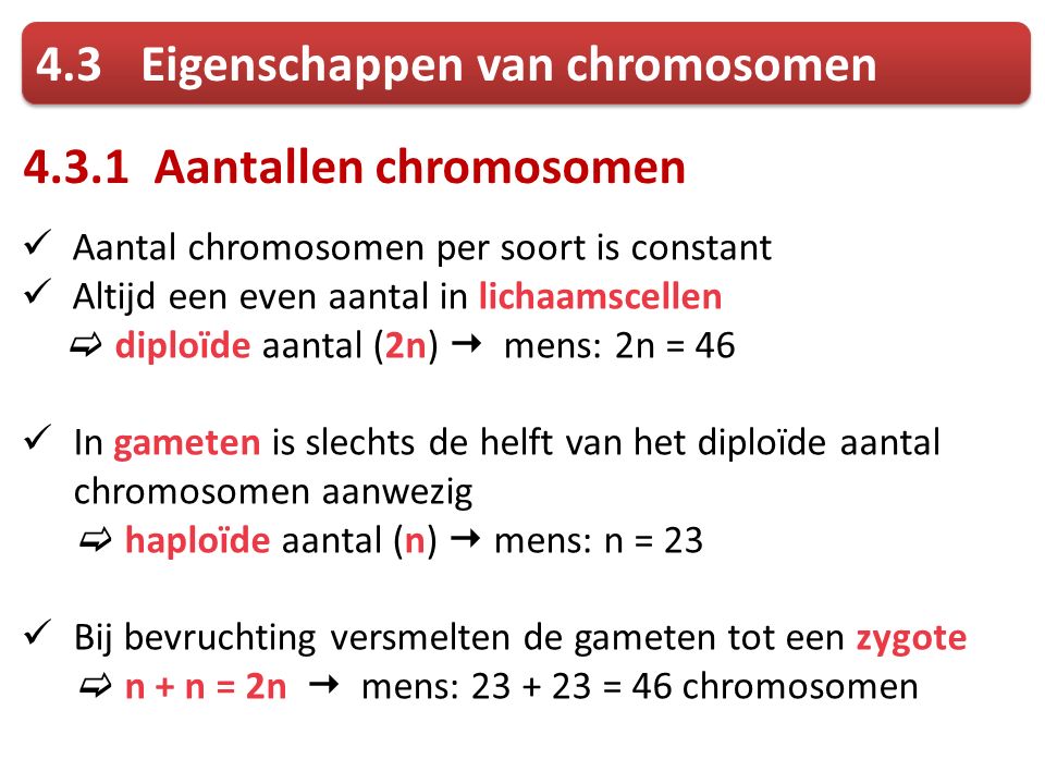 4.3 Eigenschappen van chromosomen