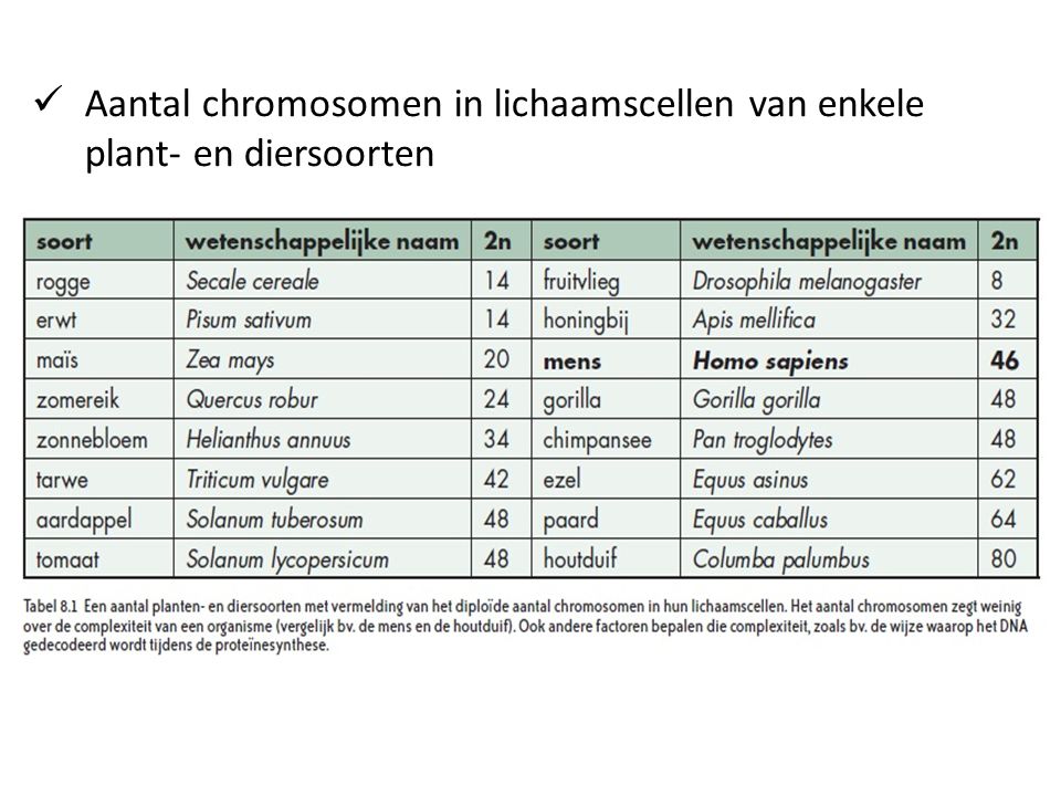Aantal chromosomen in lichaamscellen van enkele plant- en diersoorten
