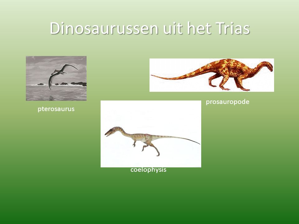 Dinosaurussen uit het Trias