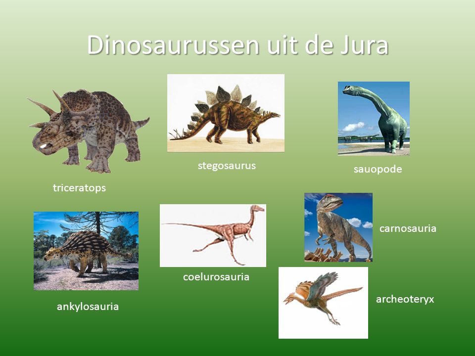 Dinosaurussen uit de Jura