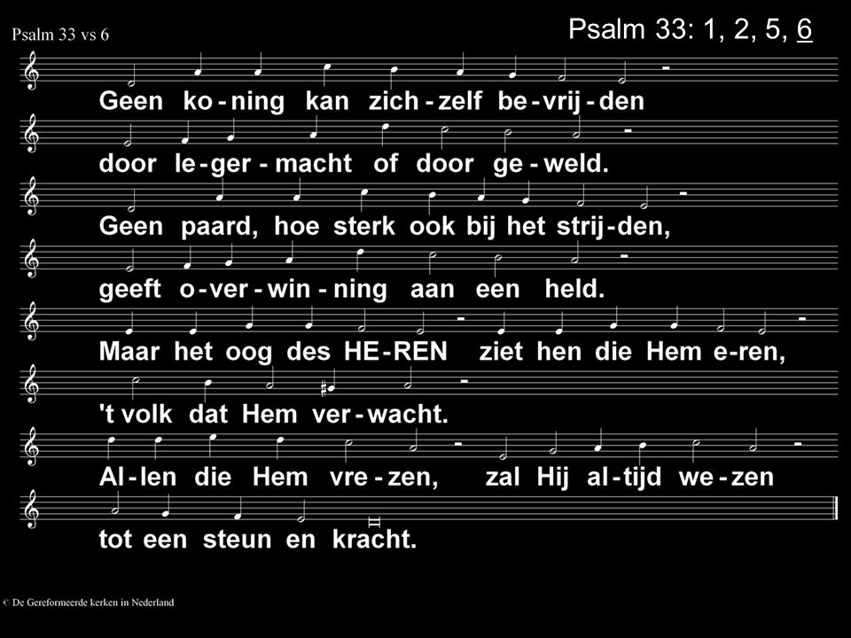 Psalm 33: 1, 2, 5, 6
