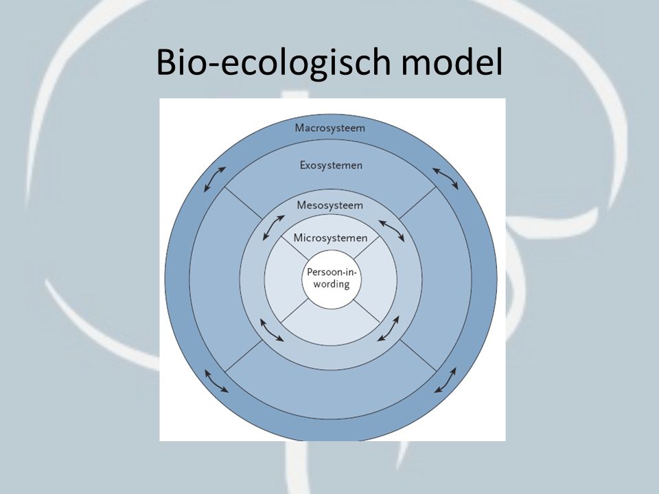 Bio-ecologisch model