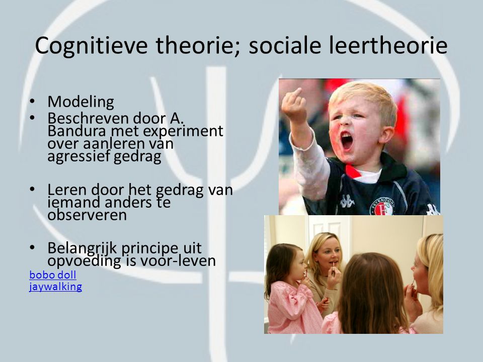 Cognitieve theorie; sociale leertheorie