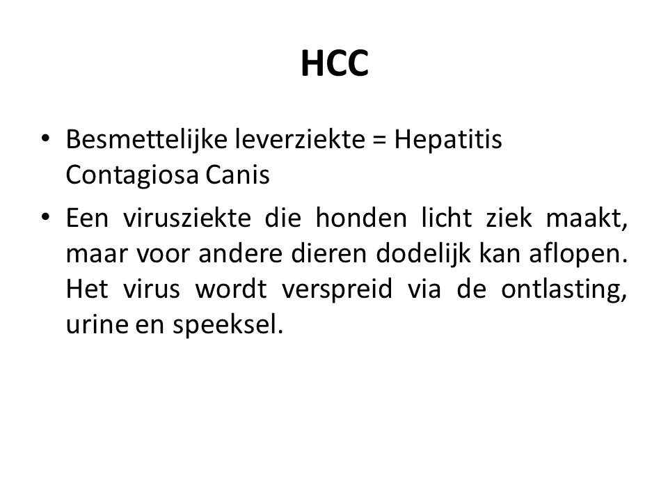 HCC Besmettelijke leverziekte = Hepatitis Contagiosa Canis