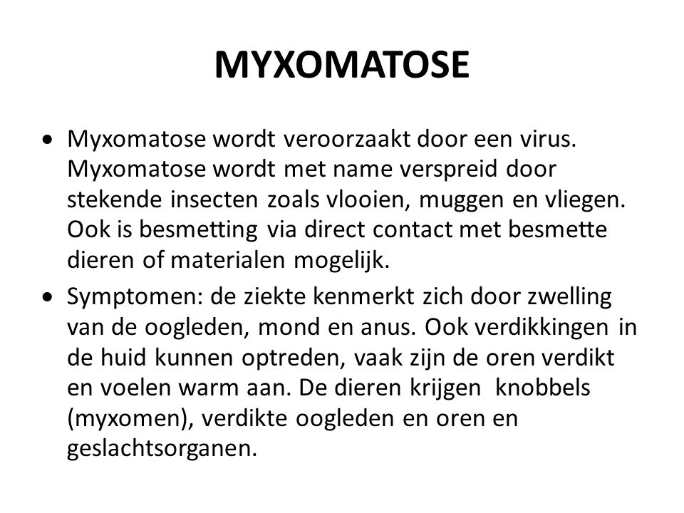 MYXOMATOSE