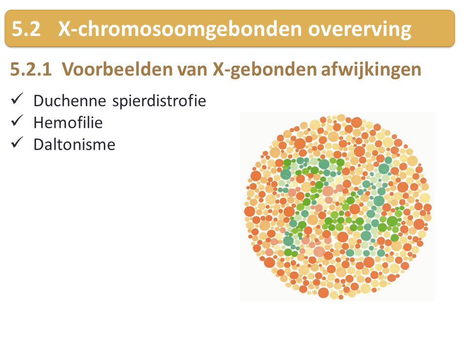 5.2 X-chromosoomgebonden overerving