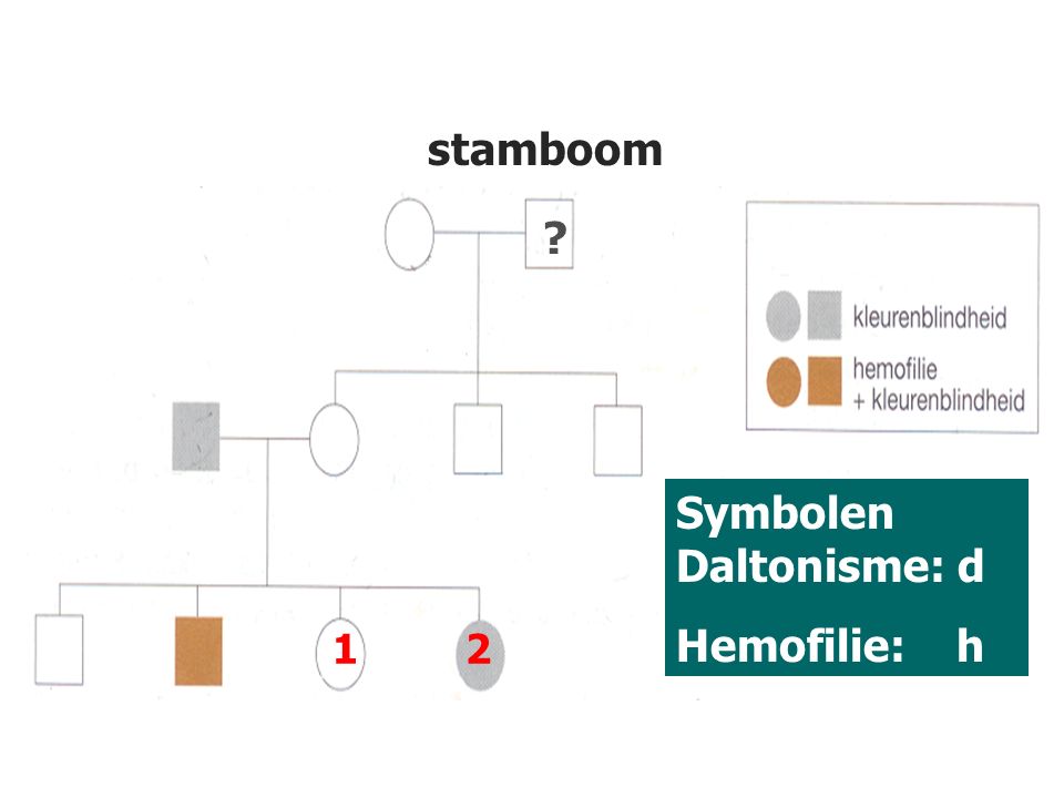 Symbolen Daltonisme: d Hemofilie: h