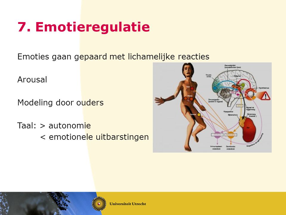 7. Emotieregulatie Emoties gaan gepaard met lichamelijke reacties Arousal Modeling door ouders Taal: > autonomie < emotionele uitbarstingen