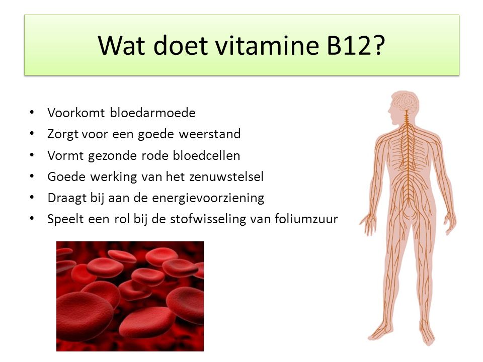 Van God ballon Identiteit Vitamine B12 2. Waar zit vitamine B12 in? 1. Wat doet vitamine B12? - ppt  video online download
