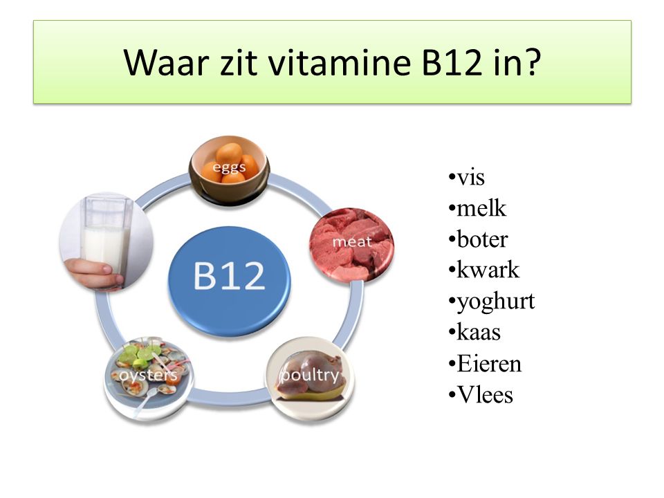 contact Indica Op de loer liggen Vitamine B12 2. Waar zit vitamine B12 in? 1. Wat doet vitamine B12? - ppt  video online download