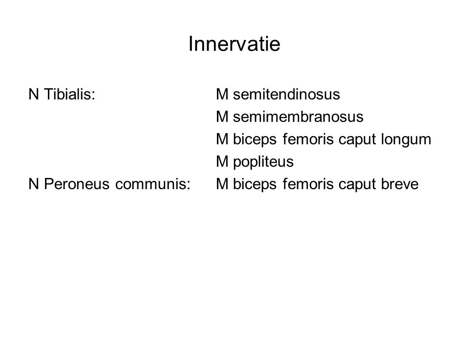 Innervatie N Tibialis: M semitendinosus M semimembranosus