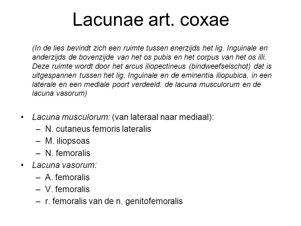 Lacunae art. coxae Lacuna musculorum: (van lateraal naar mediaal):