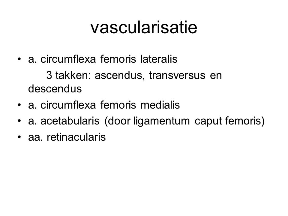 vascularisatie a. circumflexa femoris lateralis
