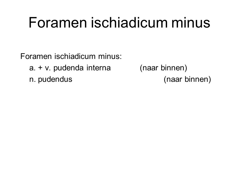 Foramen ischiadicum minus