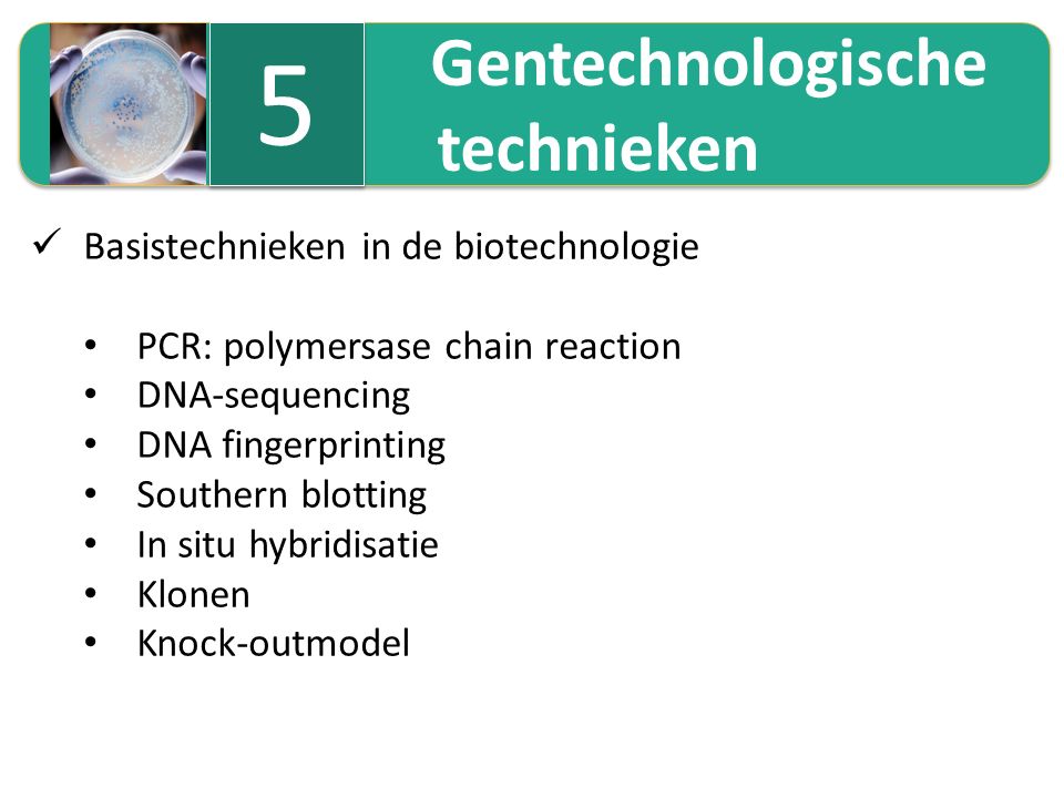 5 technieken Gentechnologische Basistechnieken in de biotechnologie