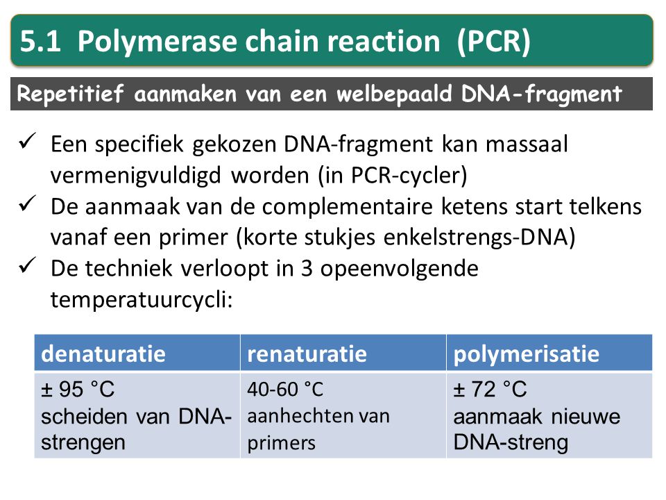 5.1 Polymerase chain reaction (PCR)