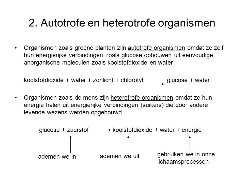 2. Autotrofe en heterotrofe organismen