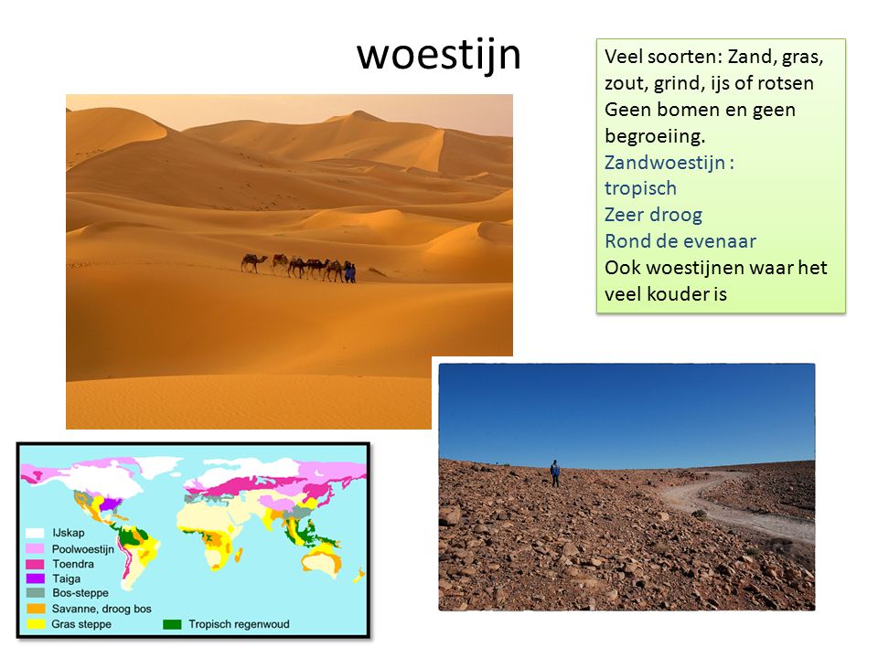 woestijn Veel soorten: Zand, gras, zout, grind, ijs of rotsen