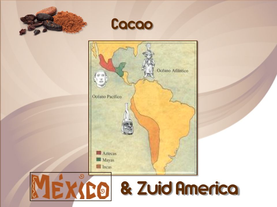 Cacao ^& Zuid America