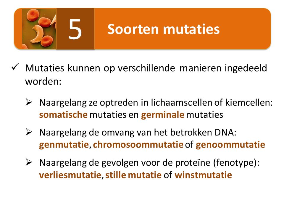 Soorten mutaties 5. Mutaties kunnen op verschillende manieren ingedeeld worden: