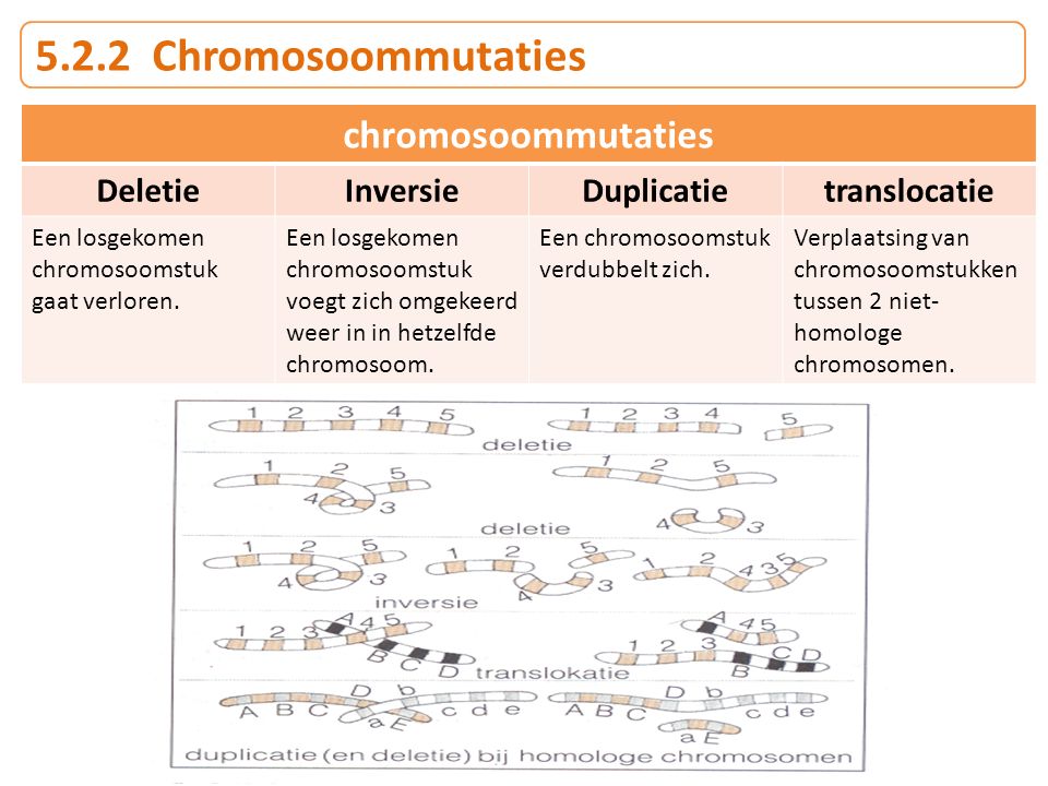 5.2.2 Chromosoommutaties chromosoommutaties Deletie Inversie
