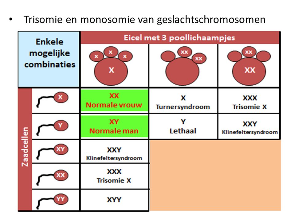 Trisomie en monosomie van geslachtschromosomen