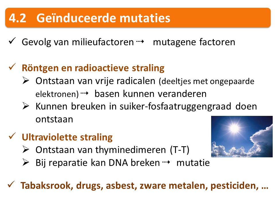 4.2 Geïnduceerde mutaties